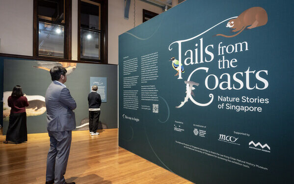 Singapore’s Treasured Natural History Drawings Debut at the Australian Museum