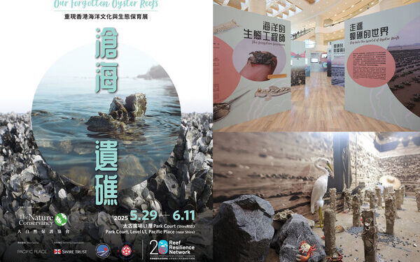 Reviving Hong Kong’s Ocean Heritage – Our Forgotten Oyster Reefs