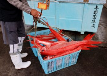 Beijing ‘agrees to resume Japanese seafood imports’