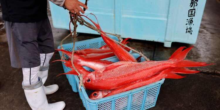 Beijing ‘agrees to resume Japanese seafood imports’