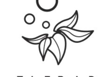 ELFBAR wins “2025 Korean Consumer Best Brand Award”