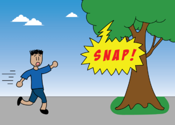 Finding Beauty and Truth in Mundane Occurrences