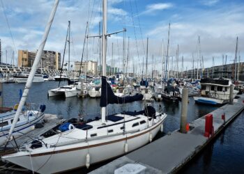 ‘Harbour cove area could host concerts, water sports’