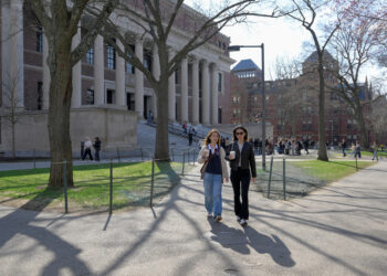 Harvard banned from enrolling more foreign students