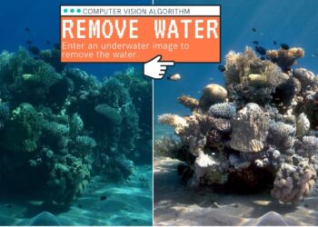 Imaging technique removes the effect of water in underwater scenes