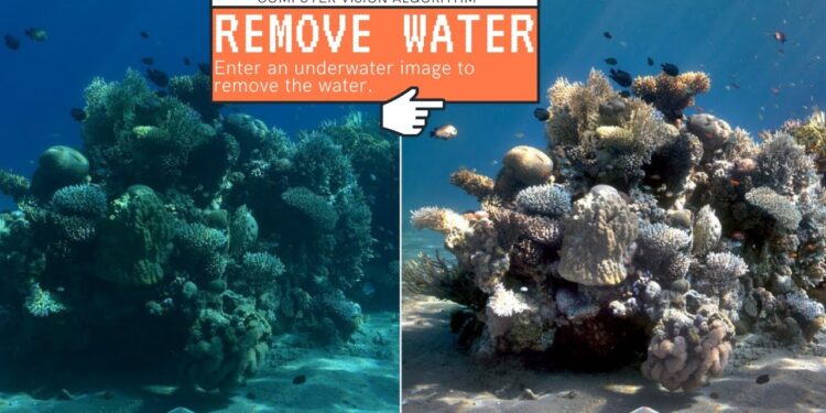 Imaging technique removes the effect of water in underwater scenes