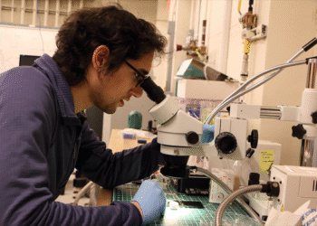 MIT physicists discover a new type of superconductor that’s also a magnet