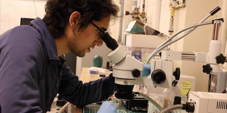 MIT physicists discover a new type of superconductor that’s also a magnet