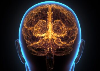 Overlooked cells might explain the human brain’s huge storage capacity