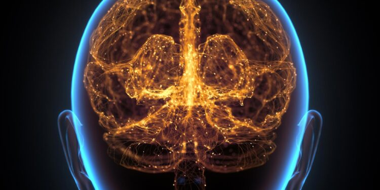 Overlooked cells might explain the human brain’s huge storage capacity