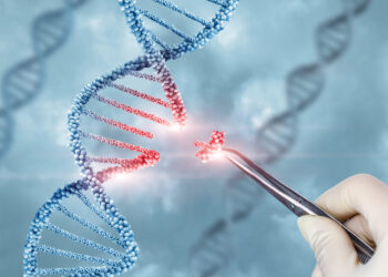 Rationale engineering generates a compact new tool for gene therapy