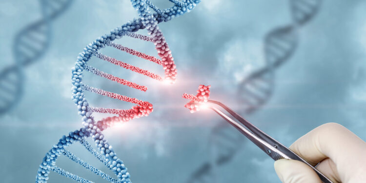 Rationale engineering generates a compact new tool for gene therapy