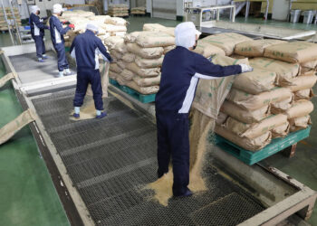 Rice prices skyrocket as Japan inflation pace picks up