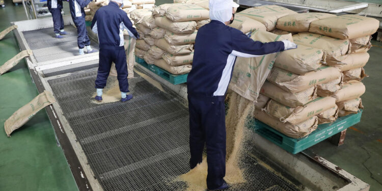 Rice prices skyrocket as Japan inflation pace picks up