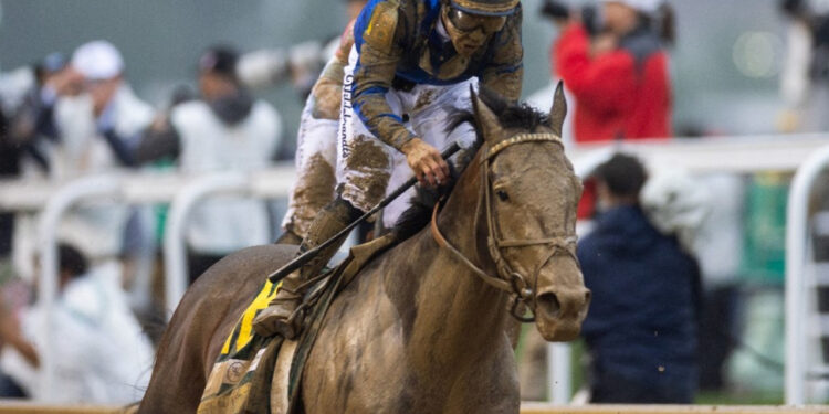Sovereignty wins the Kentucky Derby