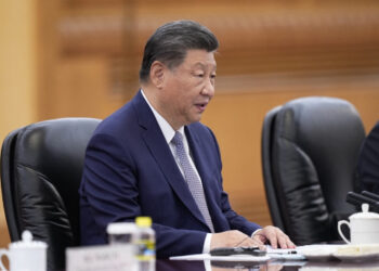 Stable China-Germany ties serve both countries: Xi