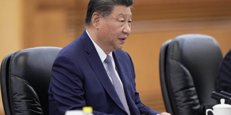 Stable China-Germany ties serve both countries: Xi