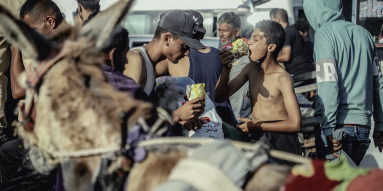 Starving Palestinians break into UN warehouse en masse