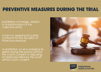 Subsidiary security laws ‘have preventive function’