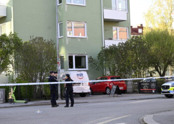 Swedish triple murder suspect remanded in custody