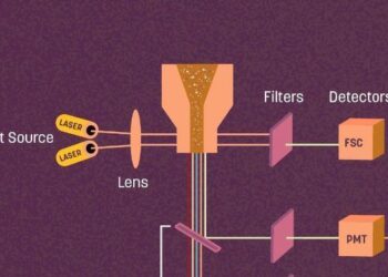 Technique rapidly measures cells’ density, reflecting health and developmental state