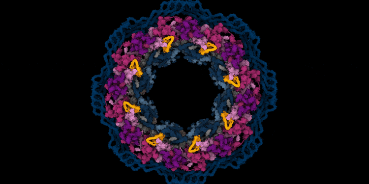 With AI, researchers predict the location of virtually any protein within a human cell