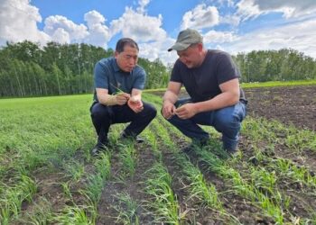 China, Central Asia make continuous efforts to deepen agricultural cooperation