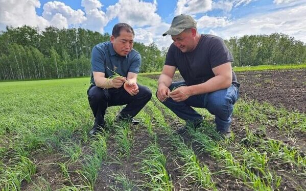 China, Central Asia make continuous efforts to deepen agricultural cooperation