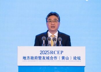 Xinhua Silk Road: RCEP accelerates regional development and boosts local cooperation, official