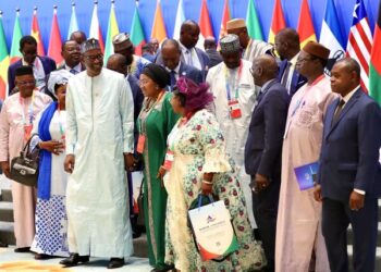 Hunan eyes progress in partnerships with Africa