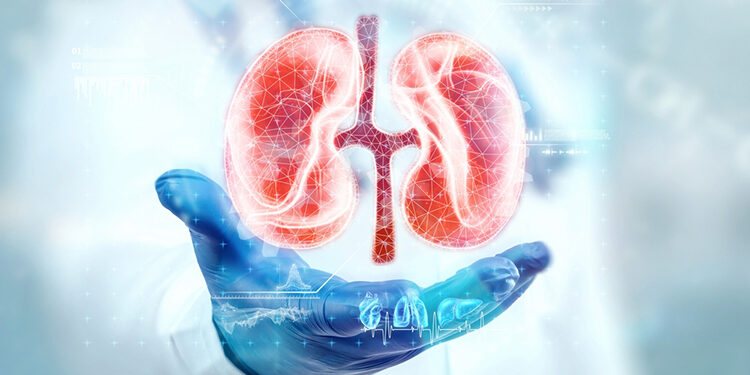 EARLY CHRONIC KIDNEY DISEASE (CKD) INTERVENTION COULD SAVE AUSTRALIA $1 BILLION A YEAR[1]
