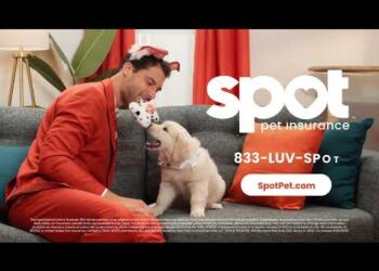 FeelNeedy: Because Every Pet Deserves to Feel Loved