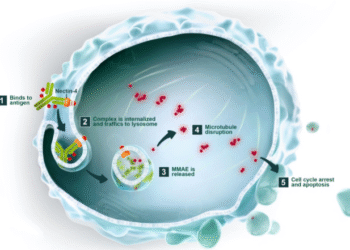 Highlights in Oral Presentation of Mabwell’s 9MW2821 at 2025 ASCO