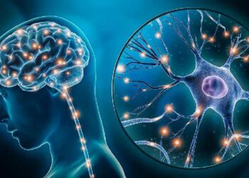 How the brain solves complicated problems