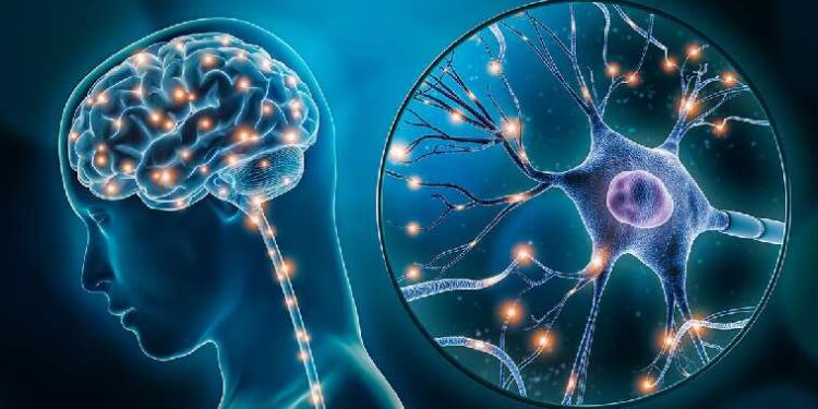 How the brain solves complicated problems