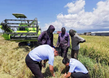 Zoomlion Showcases Advanced Equipment and Localized Solutions at the 4th China-Africa Economic and Trade Expo to Drive Development in Africa
