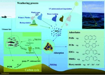 ‘Public understanding of microplastics still lacking’