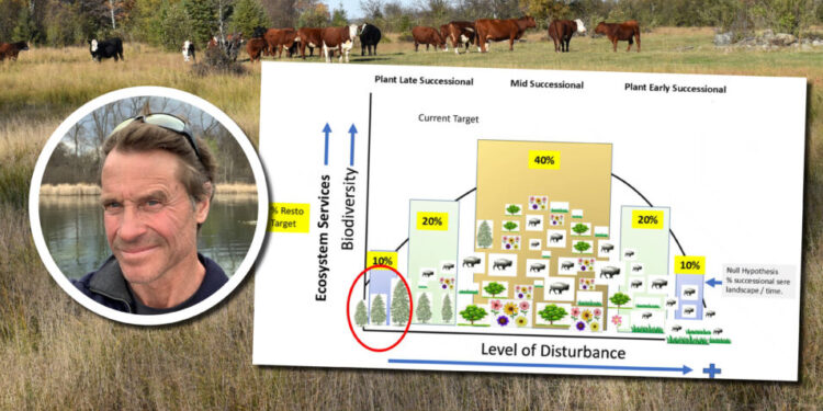The Ecosystem Dynamics That Can Make or Break an Invasion
