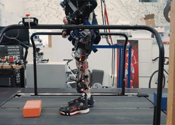 A bionic knee integrated into tissue can restore natural movement