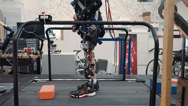 A bionic knee integrated into tissue can restore natural movement