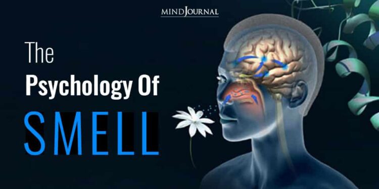 How Smell Guides Our Inner World