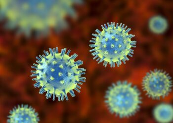 Scientists discover compounds that help cells fight a wide range of viruses