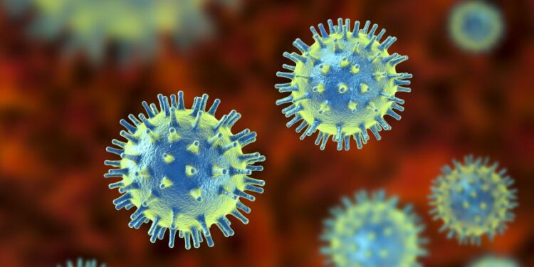 Scientists discover compounds that help cells fight a wide range of viruses