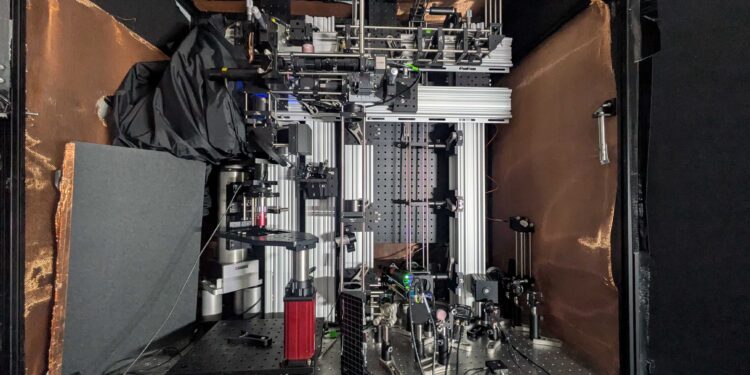Imaging tech promises deepest looks yet into living brain tissue at single-cell resolution
