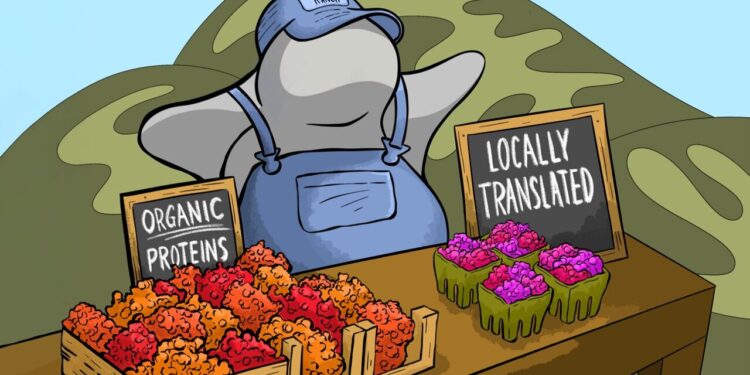 Locally produced proteins help mitochondria function
