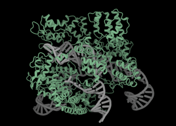 Researchers glimpse the inner workings of protein language models