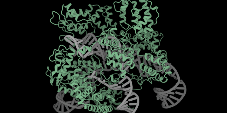 Researchers glimpse the inner workings of protein language models