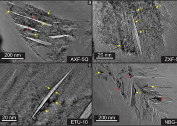 Study sheds light on graphite’s lifespan in nuclear reactors