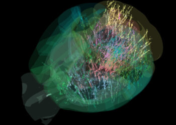 A comprehensive cellular-resolution map of brain activity