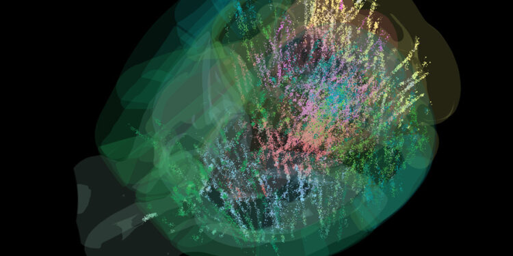 A comprehensive cellular-resolution map of brain activity